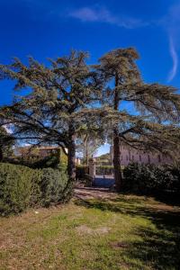 Maisons d'hotes B&B en Provence- Villa Saint Marc : photos des chambres