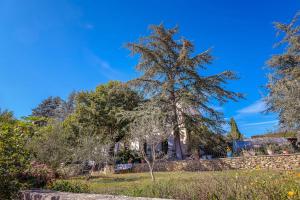 Maisons d'hotes B&B en Provence- Villa Saint Marc : photos des chambres