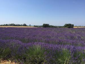 Maisons d'hotes B&B en Provence- Villa Saint Marc : photos des chambres