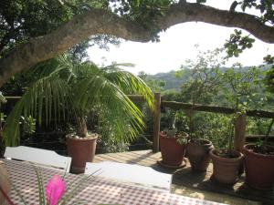 Utopia in Africa Guest Villa