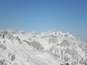 Marie Luise, Landhaus