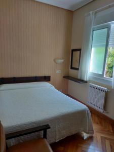 Single Room with Mountain View room in Hotel Rompeolas