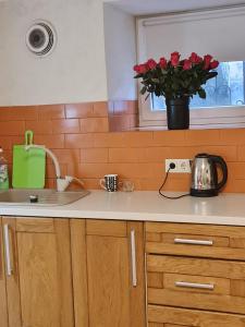 Студіо на Кoновальця