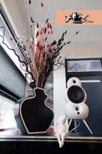 Paradise Amsterdam bungalow of 80 m2 with private pool - inclusive, parking, use of bikes, tourist tax and much more