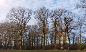 Appartements Aux Domaines d'Automne : photos des chambres