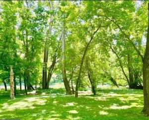 Cozy Cabin w Indoor Fireplace & Tranquil views