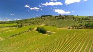 Fattoria di Cinciano