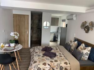 Appartements Cosy jacuzzi : photos des chambres