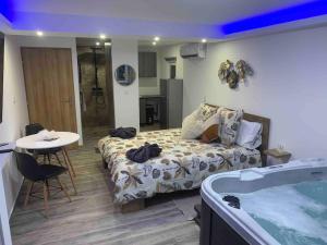 Appartements Cosy jacuzzi : photos des chambres