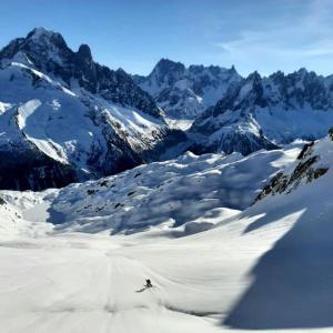 Appartements Beau duplex lumineux a la montagne Nice flat just underneath MtBlanc : photos des chambres