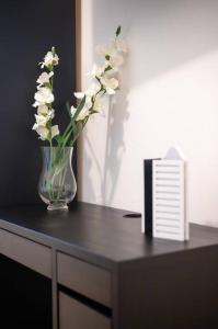 Estudio 9 en la Zona Colonial