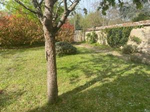 Maisons de vacances Gite Bonny-sur-Loire, 5 pieces, 8 personnes - FR-1-590-261 : photos des chambres