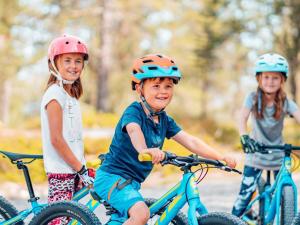 12 person holiday home in IDRE-By Traum