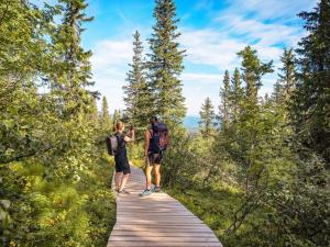 12 person holiday home in IDRE-By Traum