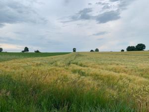 Campings Camping de Messeugne : Chambre Triple