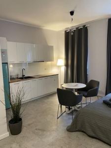 Spacious apartment in the heart of Poznan,Old town