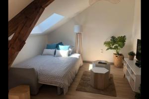 Appartements Chez Gustave charmant T2, 4 min place Ducale : photos des chambres