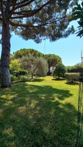 casaisoladelba immersa nel verde a 80mt dalla spiaggia