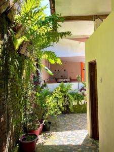 Villa Sakana - Escape to Paradise