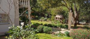 La Pergola 3 Sauce Monte Hermoso