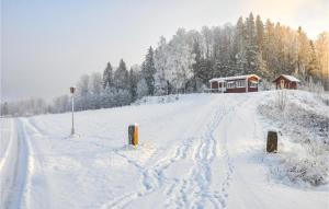 2 Bedroom Amazing Home In Rottneros