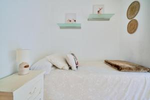 Apartamento malagueta