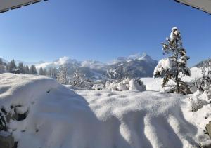 Cosy appartment 10 min from Gstaad with stunning view