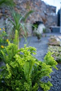 Majestic Seaview Villa