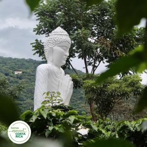 Hotel Don Ernesto By La Chimba