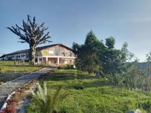 PIA COLOMBIA - San Vicente