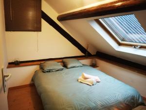 Appartements Appartement 4-6 personnes a proximite des stations et grands cols : photos des chambres