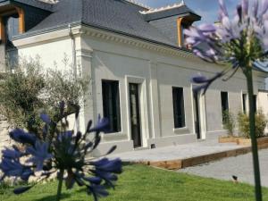 Maisons de vacances Cocon des vignes du Domaine Ansodelles : photos des chambres