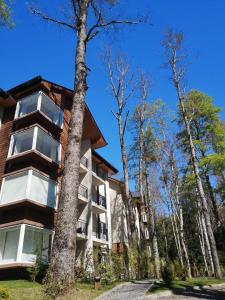 Depto en condo Pucon Andino