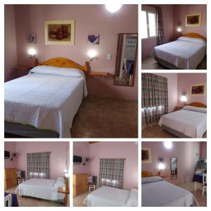 Departamentos CHOIQUE