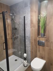 Apartament Górska Szarotka