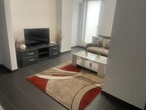 Apartament Cluj - 弗洛雷什蒂