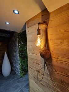 ATPeak Lodge Maison de Montagne dexception