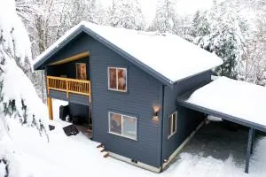 Jagged Mountain Retreat - Concrete