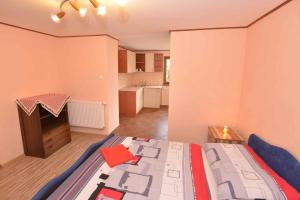 Holiday home in Nova Ves nad Nisou - Riesen- und Isergebirge 43191