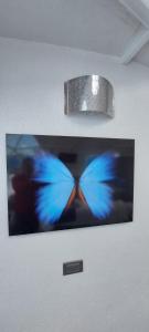 Monarca Azul Glamping