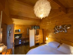 Chalets Le Petit Skieur B&B : Chalet Supérieur