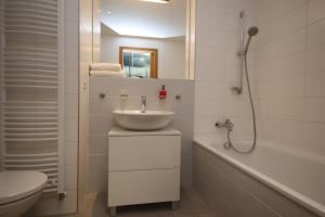Apartmán Medvědín 100
