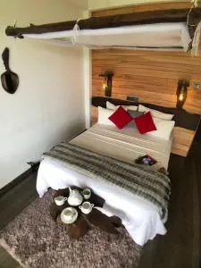 Mount shadows - إيلا