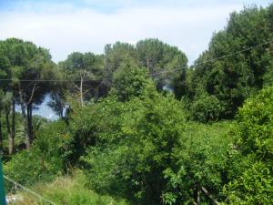 Appartamento Giacomo