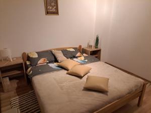 Apartman Pavlovic - 3hvězdičkové hotely ve městě Dušanovac (historical)