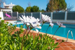 Casa Marjan Sol by Algartur - 5 mins Downtown - Pool & Patio