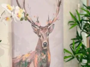 Increíbles Vistas A Las Montañas En El Pas De La Casa - Parking - Wifi - Ski in Ski out l by BonesVacances - Grau Roig