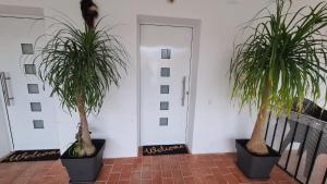Apartament Santa Margarida