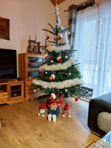 Apartamenty Pod Skałką