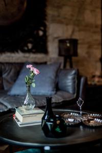 Castle Downtown Apartment